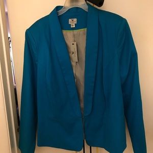 Gorgeous Blue Blazer